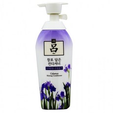 려 창포 담은 컨디셔너(두피진정.모발윤기)500ml보습 피부탄력 어린이겸용 저자극 각질케어 영양공급 윤기부여 트러블케어 순한 바디 촉촉하게 향기롭게 건강한모발, 상세페이지 참조