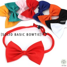 노란색나비넥타이