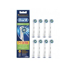 오랄비칫솔모정품