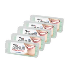 왕타치간칫솔