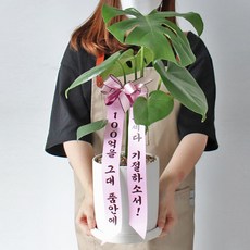 바구니리본메세지