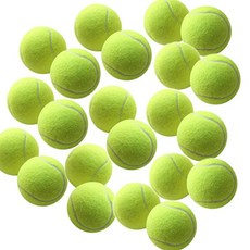 [미국] Swity Home 12 Pack Tennis Balls Training Balls for Lessons Practice Playing with Pets