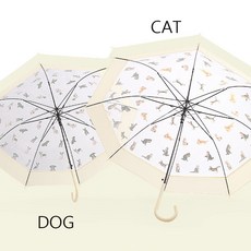 고양이우산