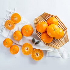 제주레드향 당도14Brix이상 당일작업선별 프리미엄레드향 농장직송, 1박스, 노지레드향 3kg(중대과 10~14과)