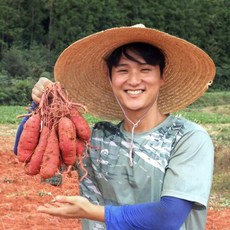 [농부들의수확]24년 수확 햇꿀밤고구마 비세척 3kg 특상, 1개