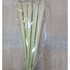채소팜바질