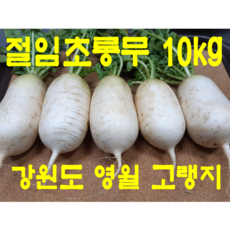 추천8 모단농장