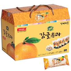 제주 감귤유과 (개별포장) 선물세트 추석 한과 명절 선물 단체 부모님 답례품 전통 과자, 1박스, 500g