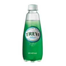 트레비 탄산수 플레인, 300ml, 20개