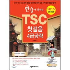 하우포지955