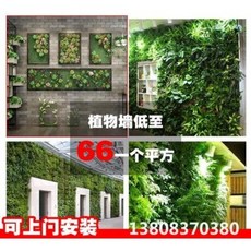 9eb771b10ecaa7d97aee6dd1a2e6e9979529c98a18f4e426bc4cb31f3a6e.jpeg
