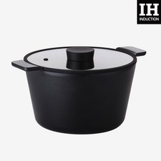 네오플램 불칸 IH 곰솥냄비, 모던블랙, 26cm