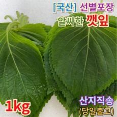 [농장직영] 알싸한 깻잎 (국산) 생채 쌈재료 짱아찌재료 쌈야채 쌈채소 깻잎무침용재료, 1개, 1kg