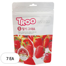 TROO 생 딸기 그대로 과일칩, 16g, 7개