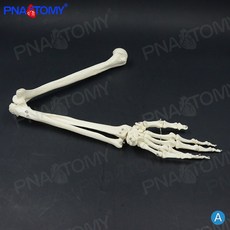 dd1f0327c092e7ed8c58c1934b76c33d85e3274c1e3f5ed04b99ba34c409.jpg