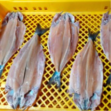 국내 동해안 청정 자연산 반건조 바다송어 1미 (240g ) / 집에서즐기는 혼술안주 싱싱, 1개