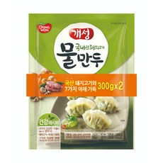 개성 홈플러스동원 개성물만두 300Gx2, 1개, 300g