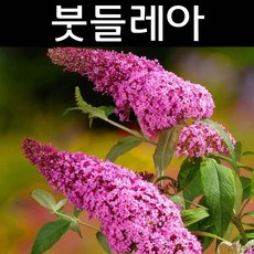 4d155f6edda7eefe1115da211fa55303f77eb3c5e7f5abb1ad18c119033e.jpg