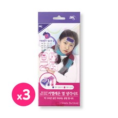 3NS 카멜레온 열 냉각시트 4매입 3개 열패치 해열패드, 단일상품