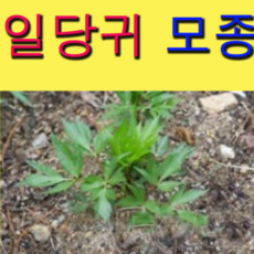 7d0d1c04234202eba52c65496e025152f5b14fe57888f3b7a8f418ddd57c.png