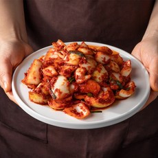 국내산 양파김치 무안양파김치