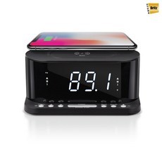 브리츠mp3충전기