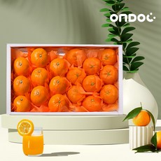 [온도씨]제주 만감류 혼합선물세트 천혜향+레드향 2kg 대과(4-6과 내외), 1개