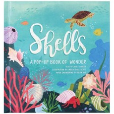 Shells: A Pop-Up Book of Wonder Hardcover, Jumping Jack Press, English, 9781623485269