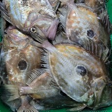 가덕도농수산 국내산 자연산 달고기 전유어 흰살생선 생선까스 필렛 진공포장