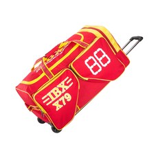 아이스하키강습일산