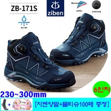 zb171s