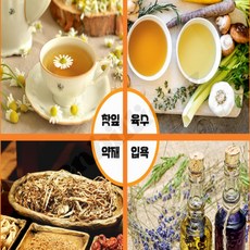 [백억점빵] 크린랩 다시백 국물팩 차거름망, 대, 대(L)