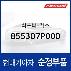리프터-가스 (855307P000) 엑시언트 트라고 6X4/트라고 특장 4X2/트라고 특장 6X2/트라고 특장 6X4/트라고 특장 8X4/트라고 8X4/10X4, 1개