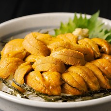[산지직송] 자연산 통영 말똥성게알, 1개, 100g
