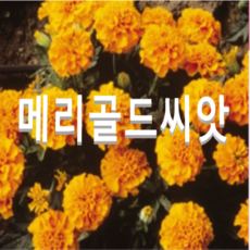 4f3cc9ac317e40f86ee00086bc0829ae50c833e290377085b3a5599a0366.png