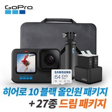 고프로히어로10