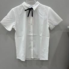 애플핑크블라우스