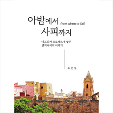 아밤에서 사피까지:아프리카 프로젝트에 쌓인 엔지니어의 이야기, 아밤에서 사피까지, 류준철(저), 준커뮤니케이션즈