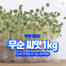 무순 씨앗 1kg 새싹 채소 종자 무농약 무코팅 유기농 수경 토경재배