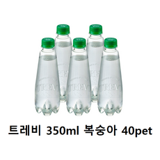 트레비 ECO 복숭아 탄산수, 350ml, 40개
