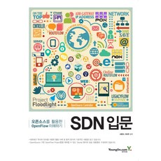 SDN 입문:오픈소스를 활용한 OpenFlow 이해하기, 영진닷컴