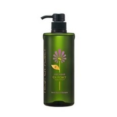 하이앙포레 시크릿샴푸 (지성두피 10대20대추천샴푸), 600ml, 1개