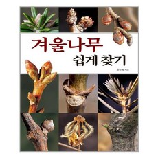 겨울나무쉽게찾기(전면개정판)