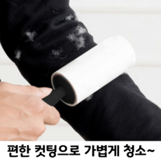 깔끔대장끈끈이
