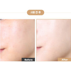 시세이도스틱환데이션