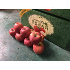 밀양얼음골사과-추천-상품