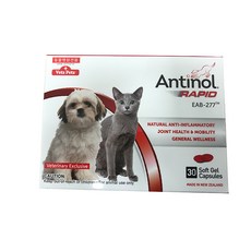 안티놀래피드 30캡슐 정품 강아지 고양이 관절영양제 (더원츄 덴탈껌1P 증정), 단품, 단품