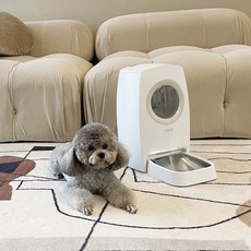 이젠케이펫자동급식기