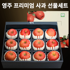 영주 프리미엄 사과 선물세트 12과 (4.2kg) 명절 추석 설 선물용 꿀 사과 한박스