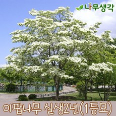 add01e1fc9e3218d2a6d279cea3fb2d0399b28e0d975e276fb36b7296be9.jpg